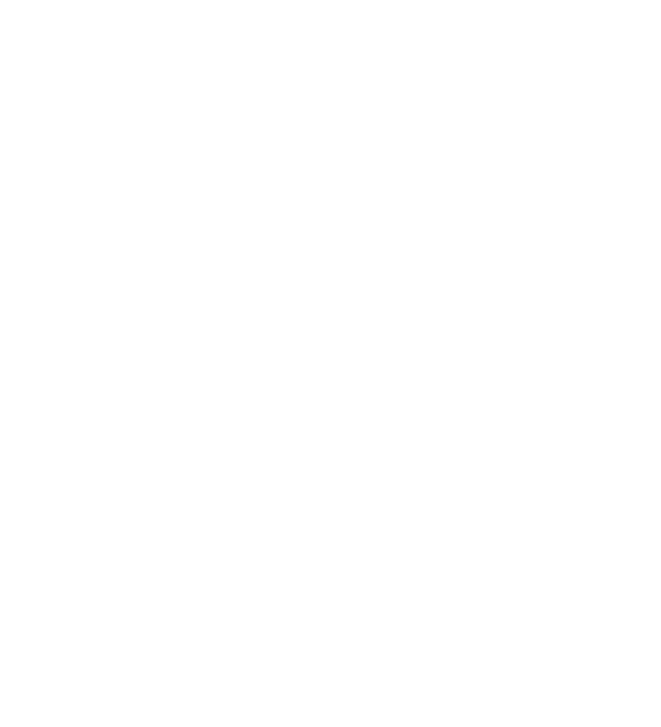 Vante Tees Inc logo